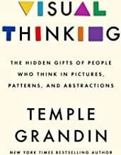 Visual Thinking: The Hidden Gifts of People Who Think in Picture, Patterns, and Abstractions